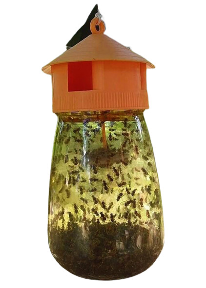 Dũng sĩ diệt ruồi nhặng - Diệt Côn Trùng An Phát - Công Ty TNHH Một Thành Viên Thương Mại Sản Xuất An Phát